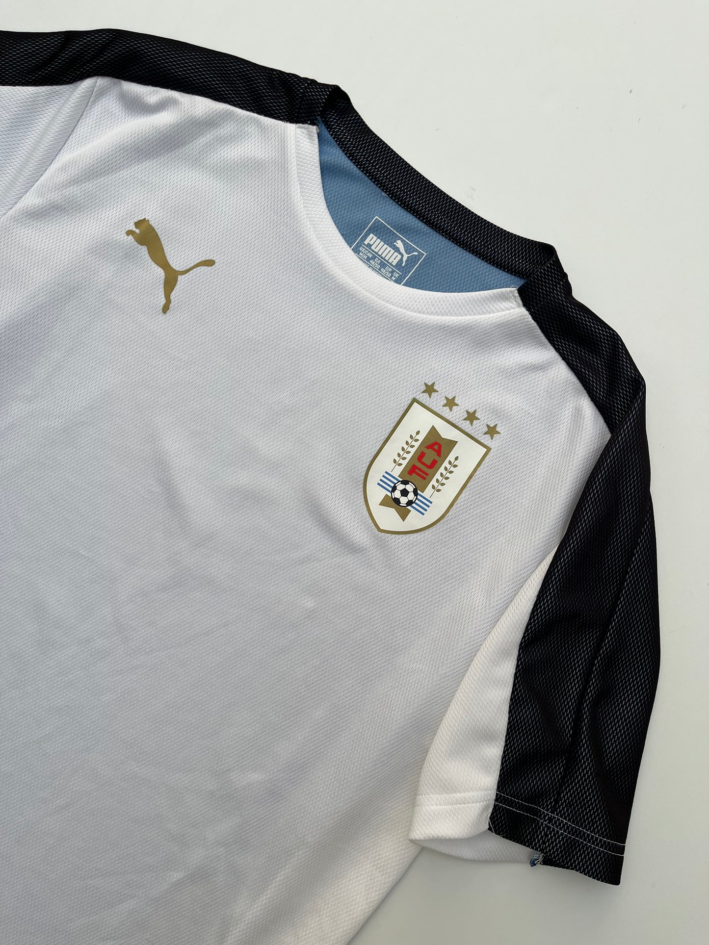 Jersey Uruguay Entrenamiento 2018 2019 (M)