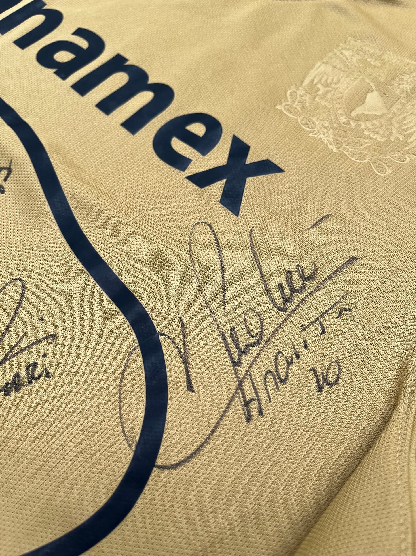 Jersey Pumas Local 2014 2015 Autografiado (L)