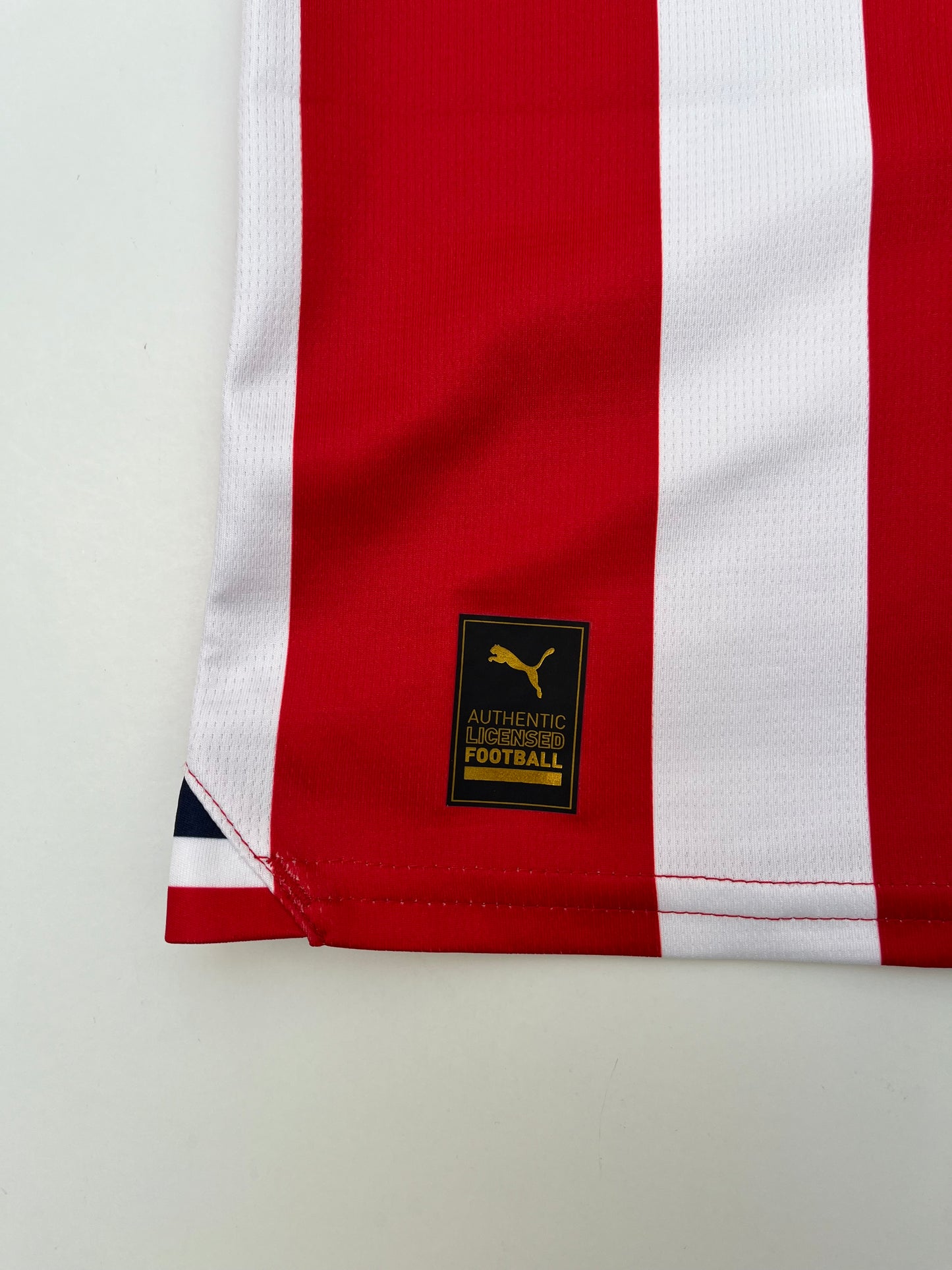 Jersey Chivas Local 2023 2024 Versión Jugador (L)