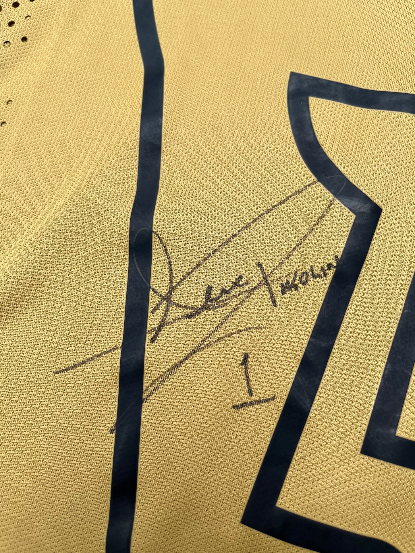 Jersey Pumas Local 2014 2015 Autografiado (L)