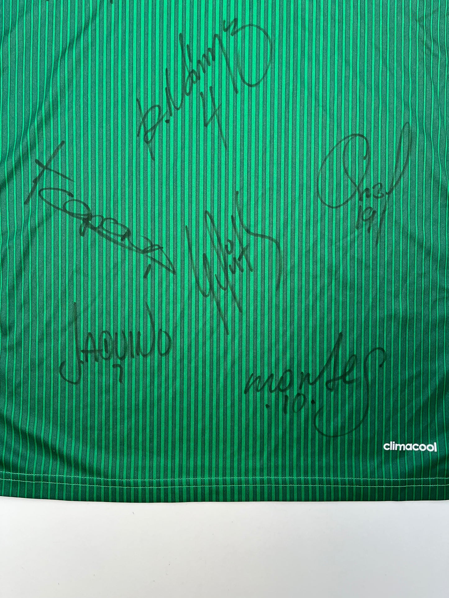 Jersey México Local 2014 2015 Autografiado (M)