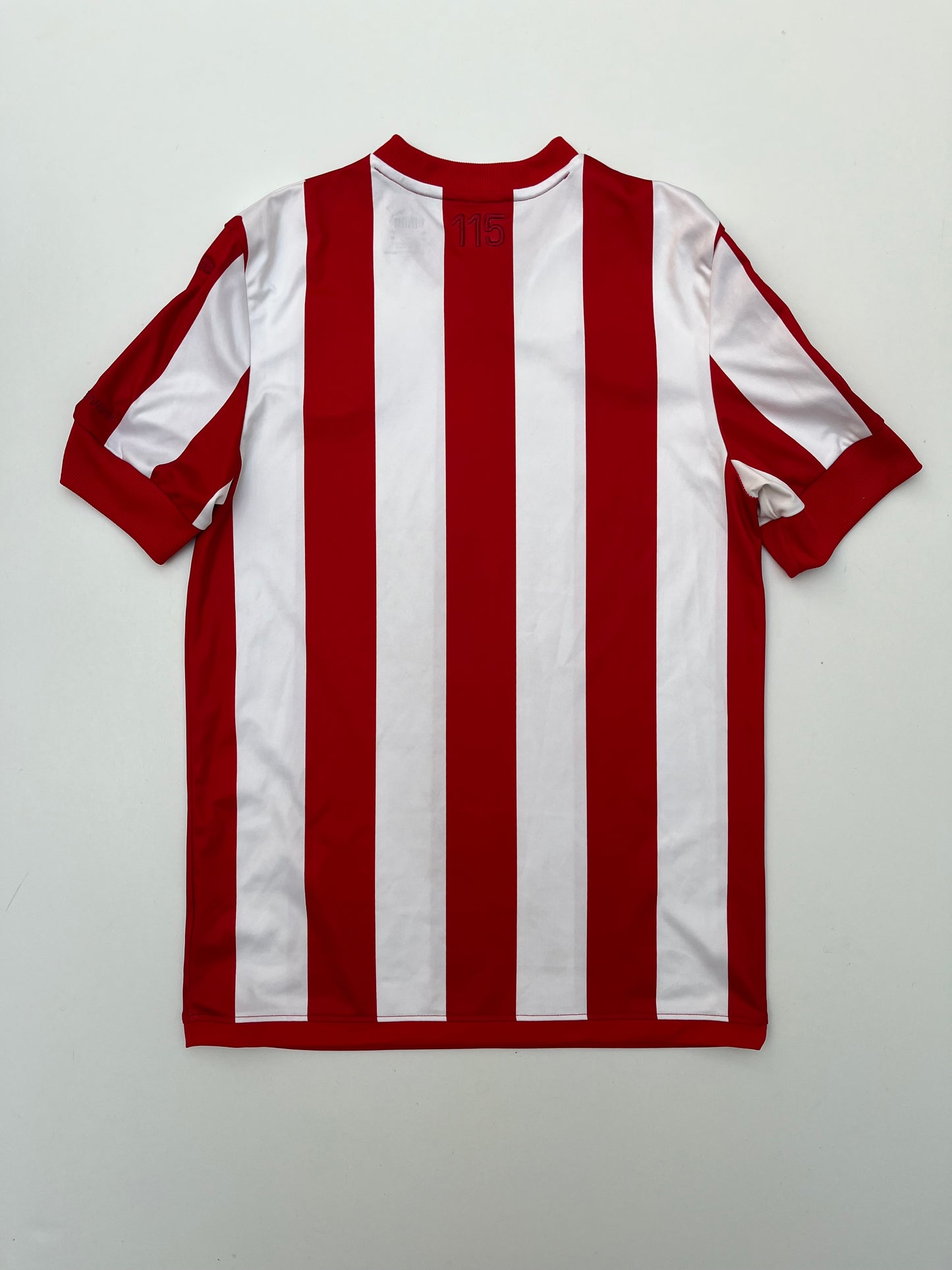 Jersey Chivas 115 Años 2021 2022 (M)